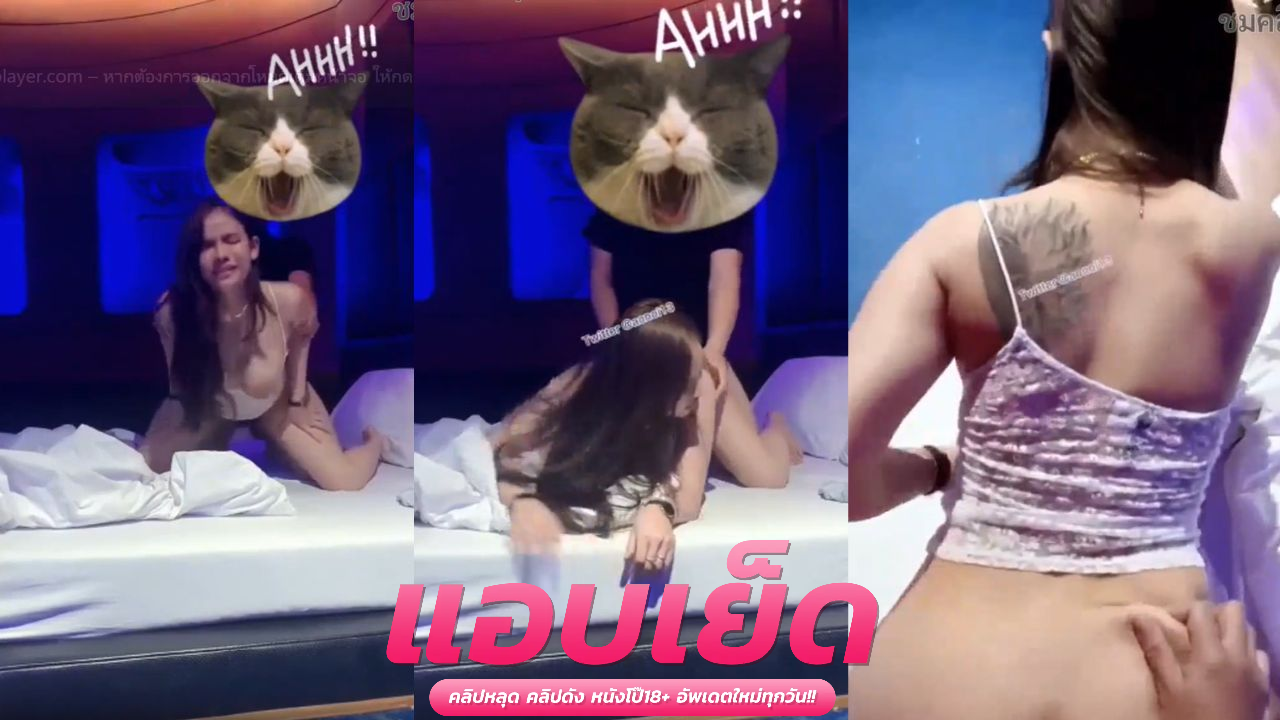 หนังโป๊โอลี่แฟน  jeenzen น้องส้มเมาจัดเจอผัวฝรั่งเย็ดหีถึงเช้า น้องส้มเด้งเอวรับควยสู้กลับไม่หยุดเลย