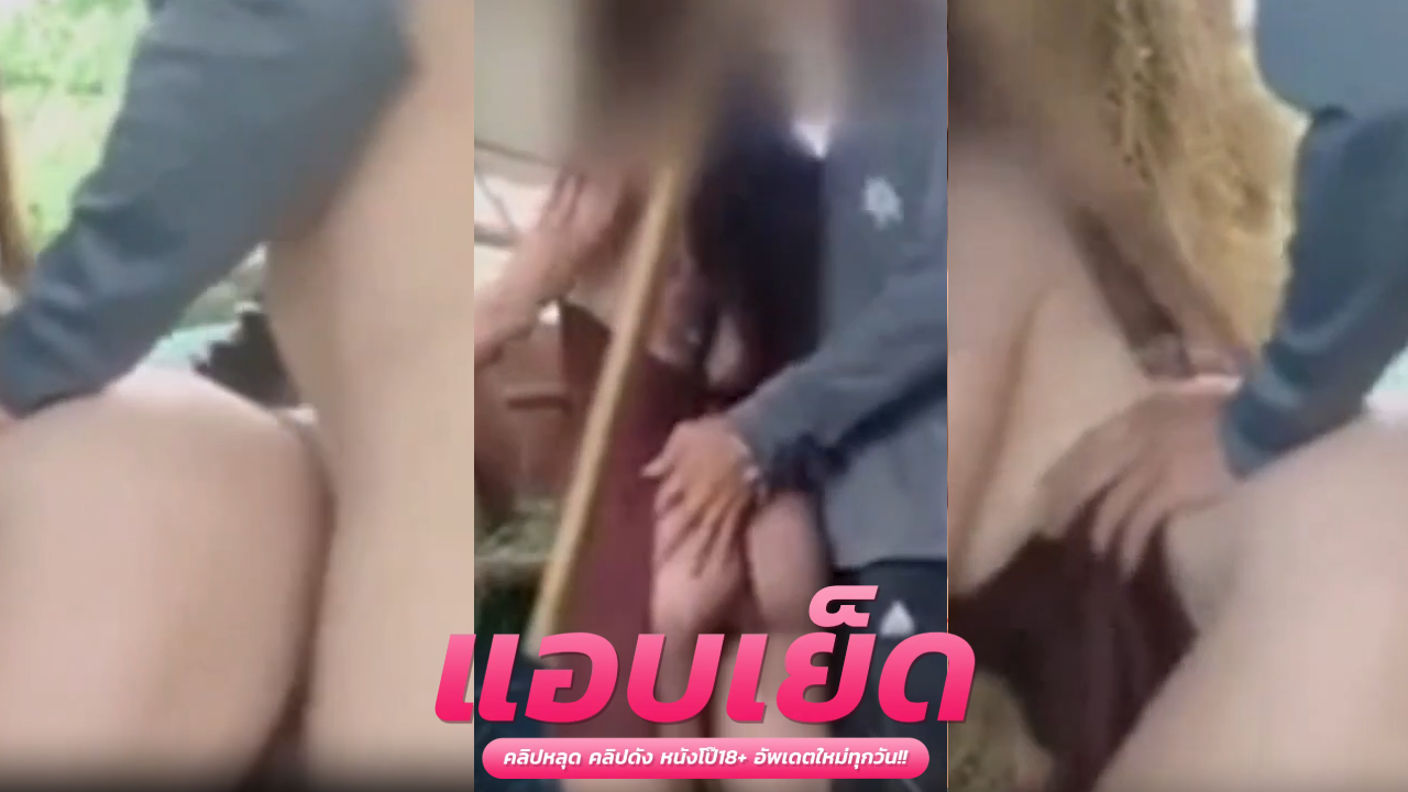 คลิปโป๊เย็ดสาวสวย ลุงชียกับสาวนักล่าคนแก่เอากันคอกวัวอัดคลิปยั่วๆเสียวๆลงเห็นแล้วเงี่ยนสุดๆ